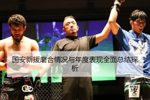 国安新援磨合情况与年度表现全面总结探析